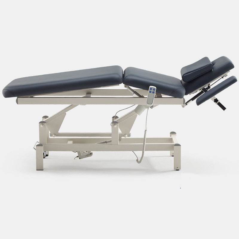 Electric Treatment Massage Bed  Price in Bangladesh